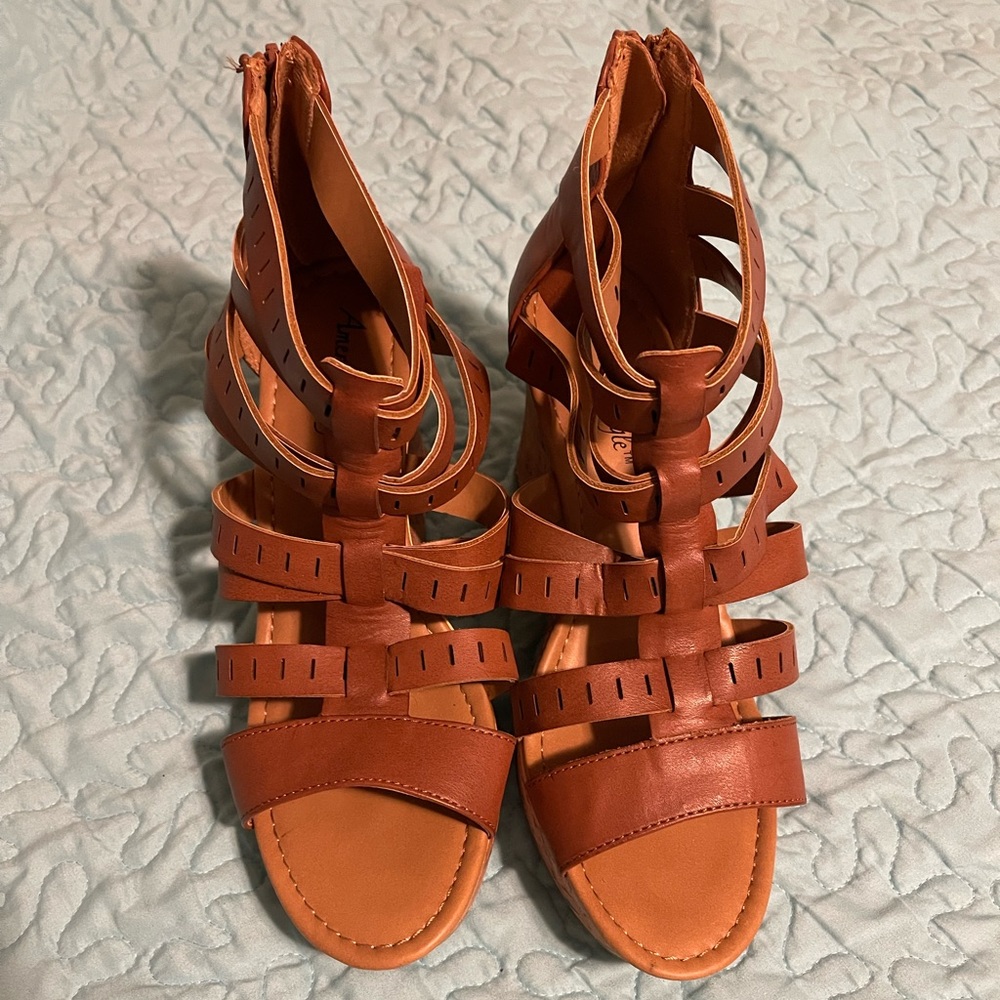 American Eagle Wedges
